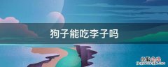 狗不能吃李子 狗子能吃李子吗
