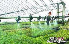 冬季棚室蔬菜的浇水原则 冬季棚室蔬菜的浇水原则有哪些