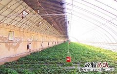 冬季蔬菜大棚滴水怎么解决 冬季蔬菜大棚滴水怎么解决视频