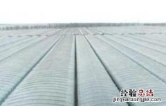 大棚农膜怎么提高透光率 大棚膜的透光率