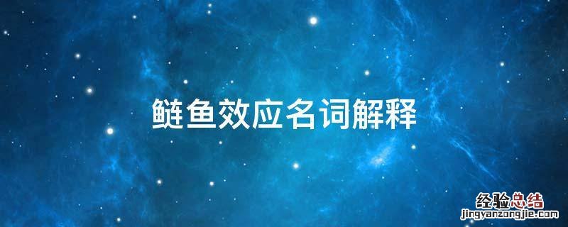 鲦鱼效应名词解释 鲢鱼效应名词解释