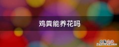 鸡粪可以养什么花 鸡粪能养花吗
