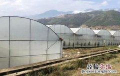 冬季温室蔬菜换茬注意事项 冬季温室蔬菜换茬注意事项视频