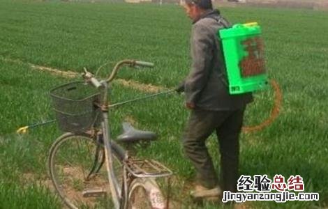 小麦冬前除草注意事项有哪些 小麦冬前除草注意事项