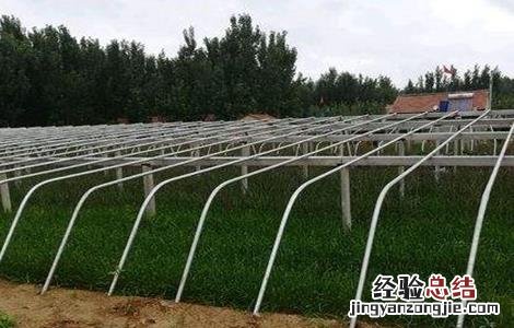 冬季韭菜扣棚前后管理技术视频 冬季韭菜扣棚前后管理技术