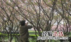 平年四月份有多少天 四月份有多少天