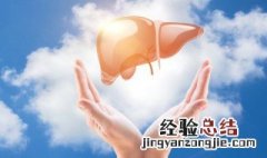被称为罢极之本的脏是 罢极之本指的脏是什么