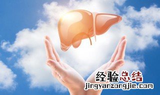 被称为罢极之本的脏是 罢极之本指的脏是什么