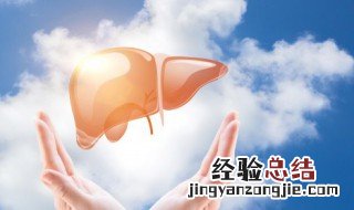 牛肝怎样凉拌好吃 正宗凉拌牛肝的做法