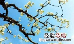 春季的六个节气的顺序依次是什么意思 春季的六个节气的顺序依次是什么