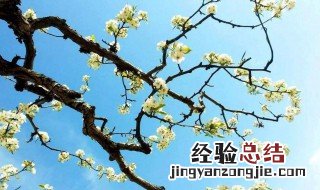 春季的六个节气的顺序依次是什么意思 春季的六个节气的顺序依次是什么