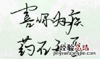 喜你成疾,药石无医 病名为爱,病因你起 喜你成疾药石无医什么意思