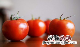 番茄汤饺怎么做 番茄汤煮饺子怎么样