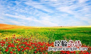 秋季热卖产品有哪些 春季哪些产品是热卖品