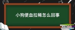 小狗便血拉稀怎么回事 狗狗拉稀血便怎么回事