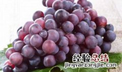 自己在家怎么做葡萄干 自己在家怎么做葡萄干视频