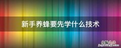 新手养蜂要先学什么技术 新手养蜂要先学什么技术防逃走图片
