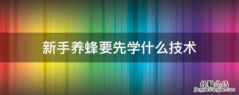 新手养蜂要先学什么技术 新手养蜂要先学什么技术防逃走图片