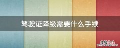 驾驶证降级需要什么手续 重庆驾驶证降级需要什么手续