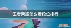 王者荣耀怎么看段位排行 王者荣耀怎么看段位榜