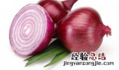 大葱头种植方法和时间 大葱头种植方法