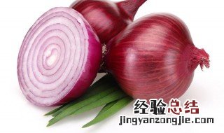 大葱头种植方法和时间 大葱头种植方法