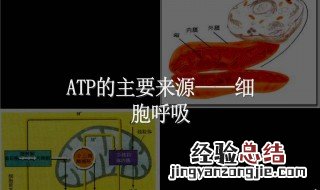 做有氧运动的呼吸方法 做有氧呼吸方法