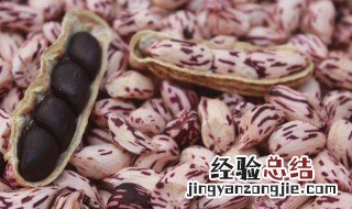 七彩花生能生吃吗? 七彩花生生吃还是熟吃