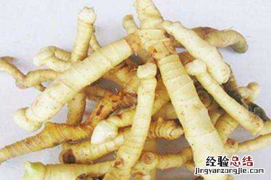玉竹的副作用和毒性 玉竹的副作用和毒性有哪些