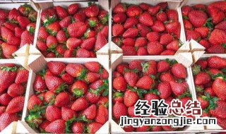 中国草莓产业发展的现状 我国生产草莓的市场优势