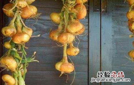 洋葱的贮藏方法是什么 洋葱的贮藏方法