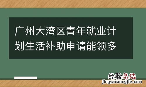 广州大湾区青年就业计划生活补助申请能领多久?