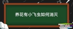 养花好多小飞虫,用什么方法去除? 养花有小飞虫如何消灭