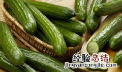 水黄瓜怎么做好吃 水黄瓜怎么做好吃家常菜