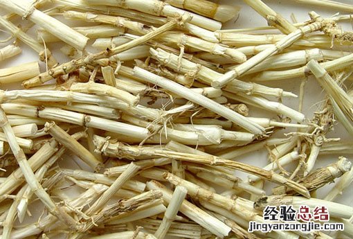 白茅根能治尿路感染吗 白茅根