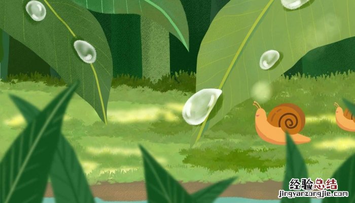 形容雨的诗句唯美 形容雨的诗句