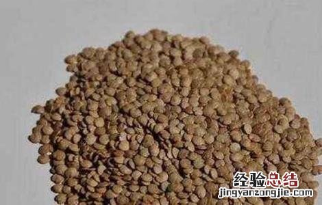 茄子种子催芽方法 茄子种子催芽方法磷酸三钠