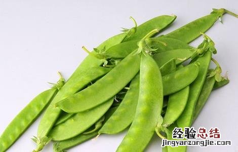 秋季种植什么 秋季种植什么蔬菜好