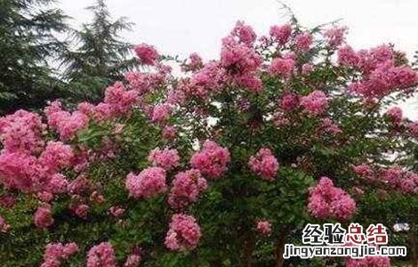 秋季种植什么 秋季种植什么蔬菜好
