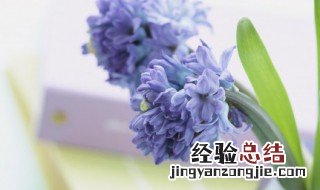 赞美春天的诗句古诗 赞美春天的诗句