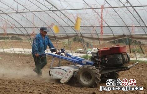 如何使用生态措施防治蔬菜病害呢 如何使用生态措施防治蔬菜病害