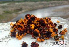 天山胎菊的功效与作用副作用 天山胎菊的功效与作用