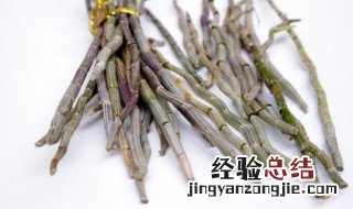 鲜铁皮石斛的功效与作用及禁忌人群 鲜铁皮石斛的功效与作用