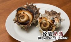 香菜拌海螺怎么做的 香菜拌海螺怎么做