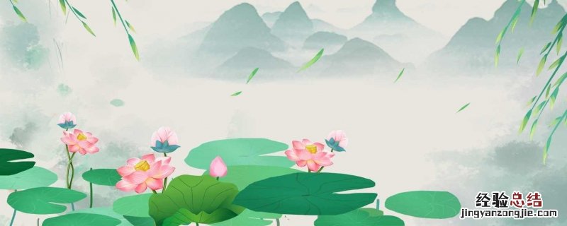 描写夏天荷花盛开的诗句有哪些 描写夏天荷花盛开的诗句