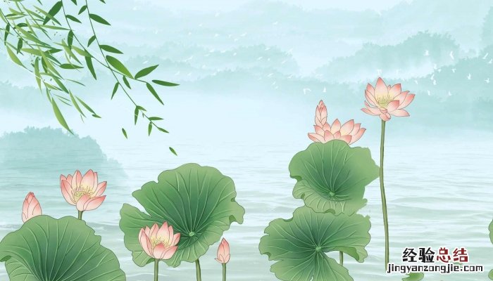 描写夏天荷花盛开的诗句有哪些 描写夏天荷花盛开的诗句