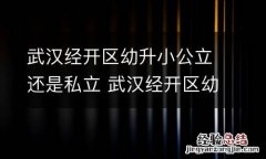 武汉经开区幼升小公立还是私立 武汉经开区幼升小公立还是私立好