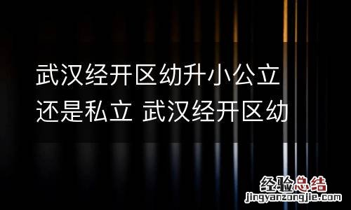 武汉经开区幼升小公立还是私立 武汉经开区幼升小公立还是私立好