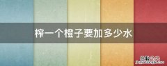 橙子榨汁要加水吗 榨一个橙子要加多少水