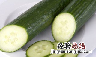 青瓜可以放冰箱吗 青瓜可不可以放冰箱